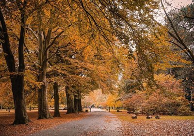 콜더스톤스 공원 (콜더스톤스 파크)